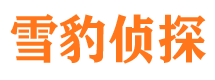 容城市婚外情调查